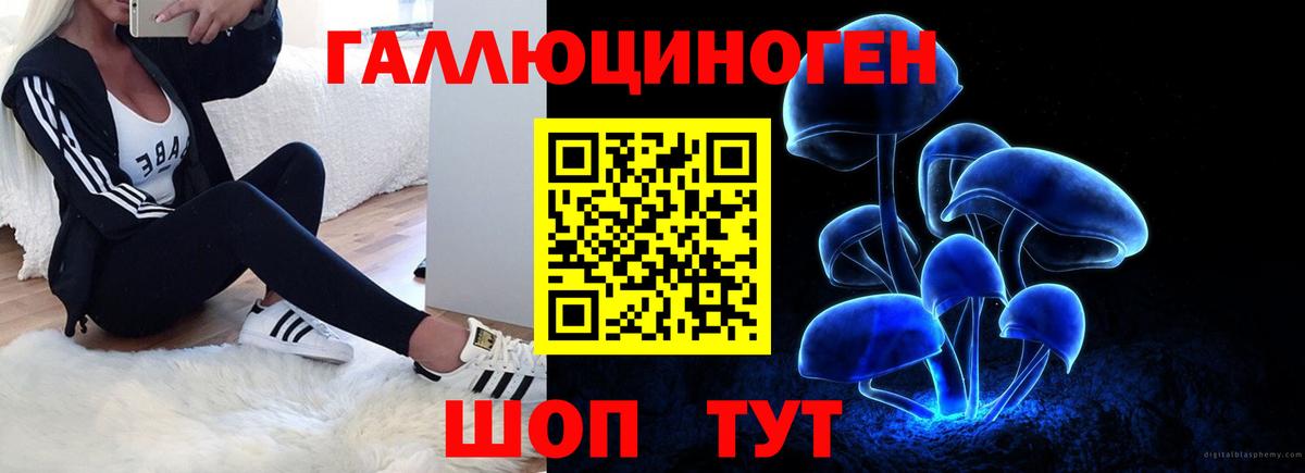 Анапа  Псилоцибиновые грибы Magic Shrooms  что такое наркотик  Вход с VPN 